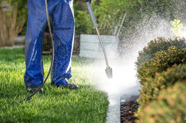 Cost of Curb Cleaning in Corona