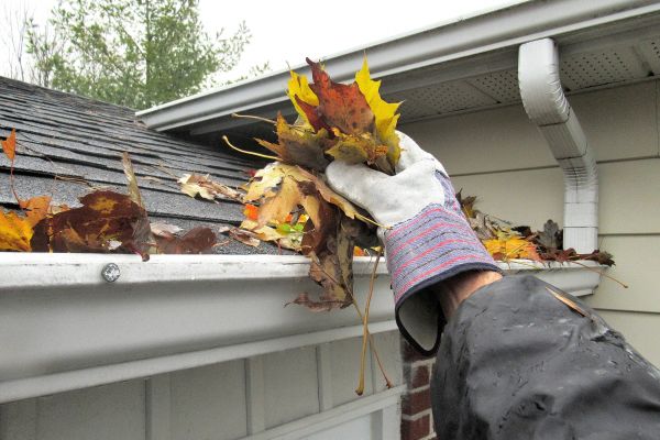 Cost of Eaves Cleaning in Corona